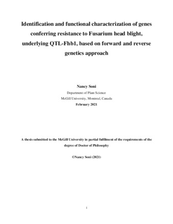 Identification and functional characterization of genes conferring resistance to Fusarium head blight, underlying QTL-Fhb1, based on forward and reverse genetics approach thumbnail