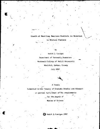 Growth of nestling American Kestrels in relation to dietary factors thumbnail