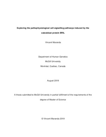 Exploring the pathophysiological cell signalling pathways induced by the osteoblast protein BRIL thumbnail