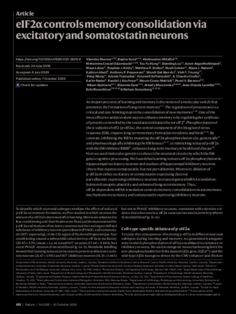 eIF2α controls memory consolidation via excitatory and somatostatin neurons thumbnail