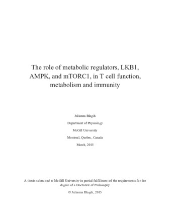 The role of metabolic regulators, LKB1, AMPK, and mTORC1, in T cell function, metabolism and immunity thumbnail