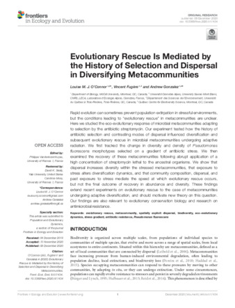 Evolutionary Rescue Is Mediated by the History of Selection and Dispersal in Diversifying Metacommunities thumbnail