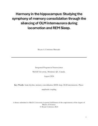 Harmony in the hippocampus: studying the symphony of brain rhythms generation through the silencing of OLM during locomotion and REM sleep thumbnail