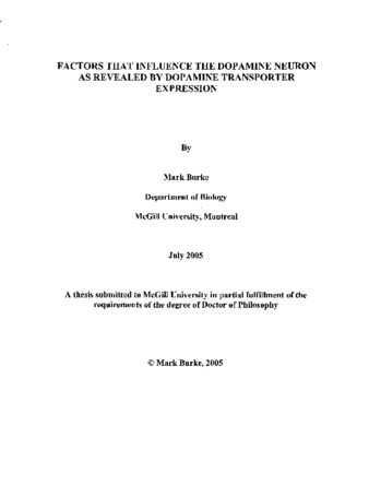 Factors that influence the dopamine neuron as revealed by dopamine transporter expression thumbnail