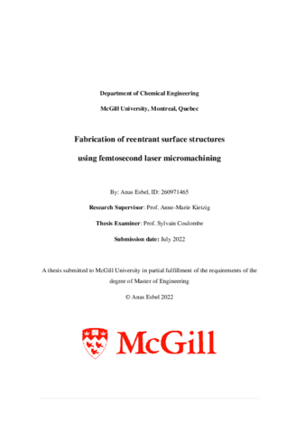 Fabrication of reentrant surface structures using femtosecond laser micromachining thumbnail