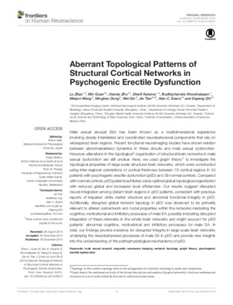 Aberrant Topological Patterns of Structural Cortical Networks in Psychogenic Erectile Dysfunction thumbnail