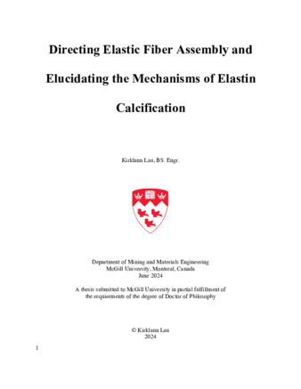 Directing Elastic Fiber Assembly and Elucidating the Mechanisms of Elastin Calcification thumbnail