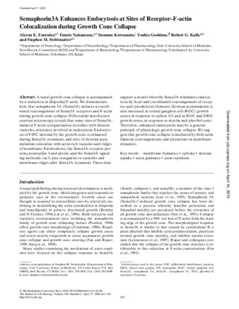 Semaphorin3A enhances endocytosis at sites of receptor-F-actin colocalization during growth cone collapse thumbnail