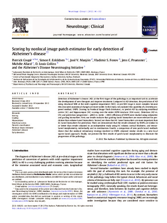 Scoring by nonlocal image patch estimator for early detection of Alzheimer's disease thumbnail