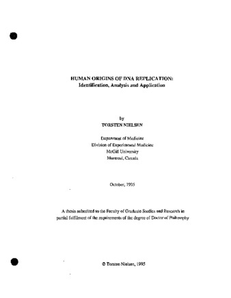 Human origins of DNA replication : identification, analysis and application thumbnail