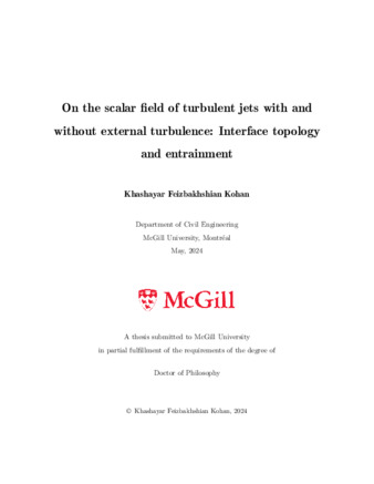 On the scalar field of turbulent jets with and without external turbulence: Interface topology and entrainment thumbnail