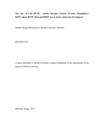 The role of LAR RPTPs family Receptor Protein Tyrosine Phosphatases RPTP Sigma, RPTP Delta and RPTP Lar in mouse embryonic development thumbnail