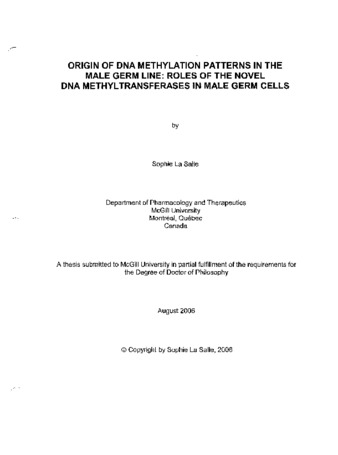 Origin of DNA methylation patterns in the male germ line : roles of the novel DNA methyltransferases in male germ cells thumbnail