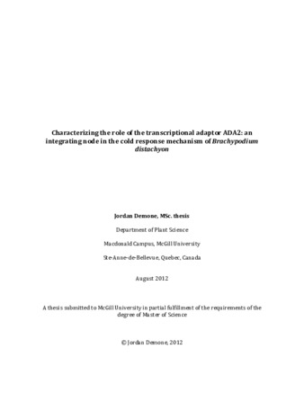 Characterizing the role of the transcriptional adaptor ADA2: an integrating node in the cold response mechanism in «Brachypodium distachyon» thumbnail