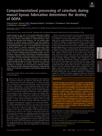 Compartmentalized processing of catechols during mussel byssus fabrication determines the destiny of DOPA thumbnail