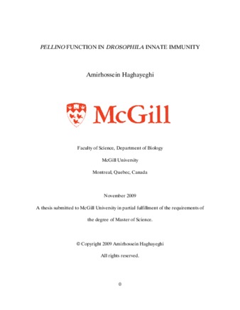 Pellino function in «Drosophila» innate immunity thumbnail