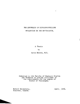 The synthesis of diphosphopyridine nucleotide in the erythrocyte. thumbnail
