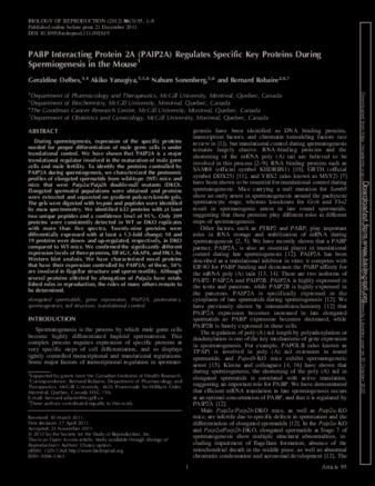 PABP Interacting Protein 2A (PAIP2A) Regulates Specific Key Proteins During Spermiogenesis in the Mouse thumbnail