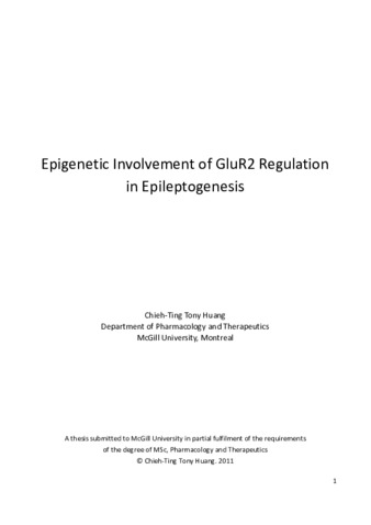 Epigenetic involvement of GluR2 regulation in Epileptogenesis thumbnail