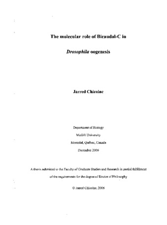 The molecular role of Bicaudal-C in Drosophila oogenesis / thumbnail