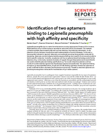 Identification of two aptamers binding to Legionella pneumophila with high affinity and specificity thumbnail