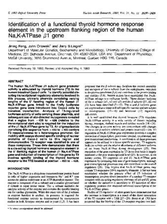 Identification of a functional thyroid hormone response element in the upstream flanking region of the human Na,K-ATPase Beta1 gene thumbnail