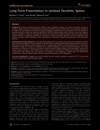 Long-Term Potentiation in Isolated Dendritic Spines thumbnail