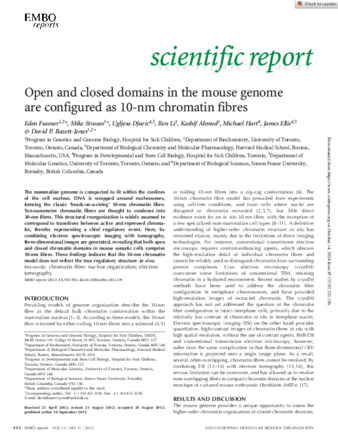 Open and closed domains in the mouse genome are configured as 10‐nm chromatin fibres thumbnail