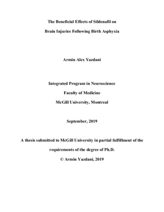 The beneficial efffects of Sildenafil on brain injuries following birth Asphyxia thumbnail