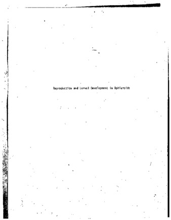 Reproduction and larval development in ophiuroids (echinodermata) of Barbados, West Indies thumbnail