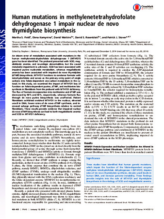 Human mutations in methylenetetrahydrofolate dehydrogenase 1 impair nuclear de novo thymidylate biosynthesis thumbnail