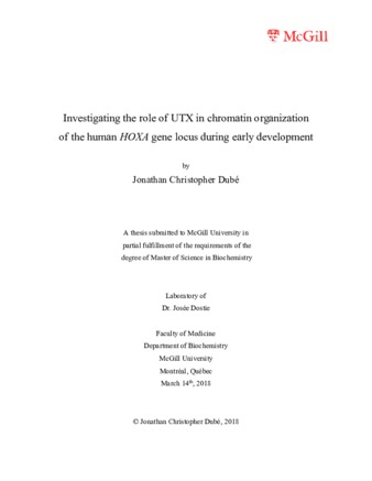 Investigating the role of UTX in chromatin organization of the human HOXA gene locus during early development thumbnail