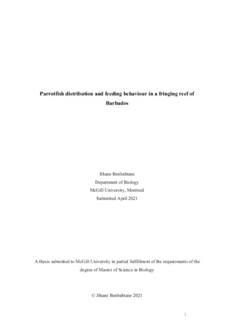 Parrotfish distribution and feeding behaviour in a fringing reef of Barbados thumbnail