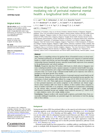 Income disparity in school readiness and the mediating role of perinatal maternal mental health: a longitudinal birth cohort study thumbnail