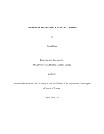 The role of the RGG/RG motif in SARS-CoV-2 infection thumbnail