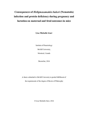 Consequences of «Heligmosomoides bakeri» (Nematoda) infection and protein deficiency during pregnancy and lactation on maternal and fetal outcomes in mice thumbnail