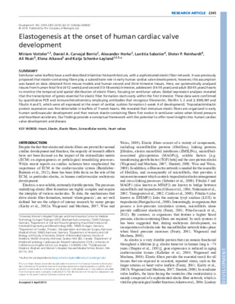 Elastogenesis at the onset of human cardiac valve development thumbnail