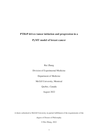 PTHrP drives tumor initiation and progression in a PyMT model of breast cancer thumbnail