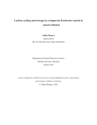 Carbon cycling and storage in a temperate freshwater marsh in eastern Ontario thumbnail