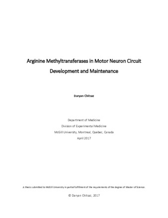 Arginine methyltransferases in motor neuron circuit development and maintenance thumbnail