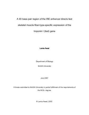 A 49 base-pair region of the IRE enhancer directs fast skeletal muscle fiber-type-specific expression of the troponin I (fast) gene thumbnail