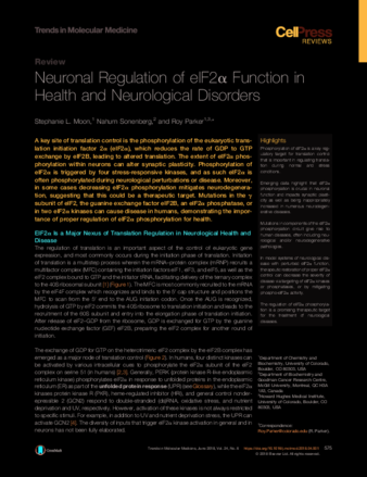 Neuronal Regulation of eIF2α Function in Health and Neurological Disorders thumbnail