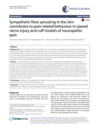 Sympathetic fibre sprouting in the skin contributes to pain-related behaviour in spared nerve injury and cuff models of neuropathic pain thumbnail