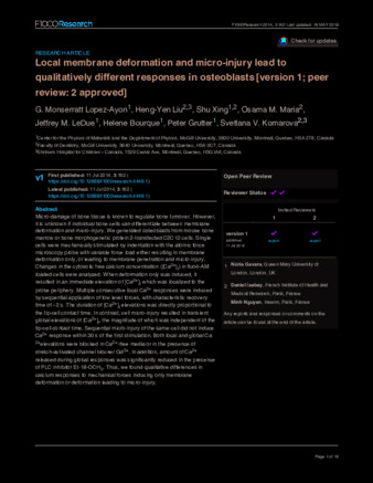 Local membrane deformation and micro-injury lead to qualitatively different responses in osteoblasts thumbnail