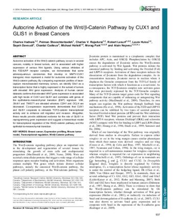 Autocrine Activation of the Wnt/β-Catenin Pathway by CUX1 and GLIS1 in Breast Cancers thumbnail