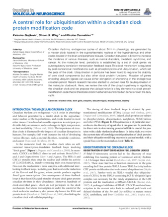 A central role for ubiquitination within a circadian clock protein modification code thumbnail