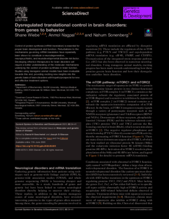 Dysregulated translational control in brain disorders: from genes to behavior thumbnail