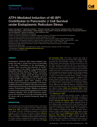 ATF4-Mediated Induction of 4E-BP1 Contributes to Pancreatic β Cell Survival under Endoplasmic Reticulum Stress thumbnail