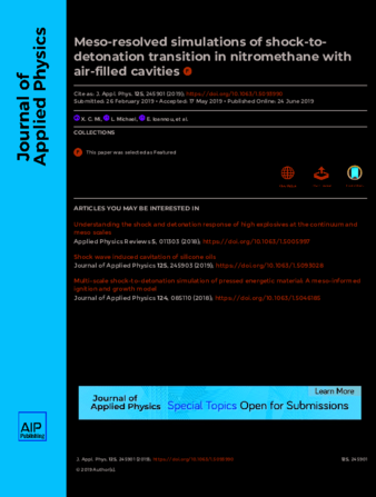 Meso-resolved simulations of shock-to-detonation transition in nitromethane with air-filled cavities thumbnail