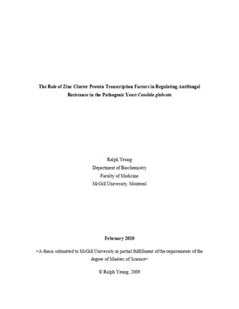 The role of zinc cluster protein transcription factors in regulating antifungal resistance in pathogenic yeast «Candida glabrata» thumbnail